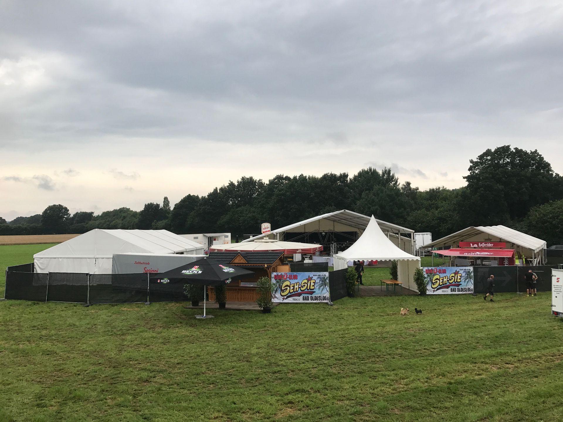 Festival veranstalten